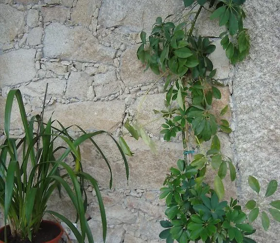 Casa de Campo Casa Villar Mayor Vilar Maior